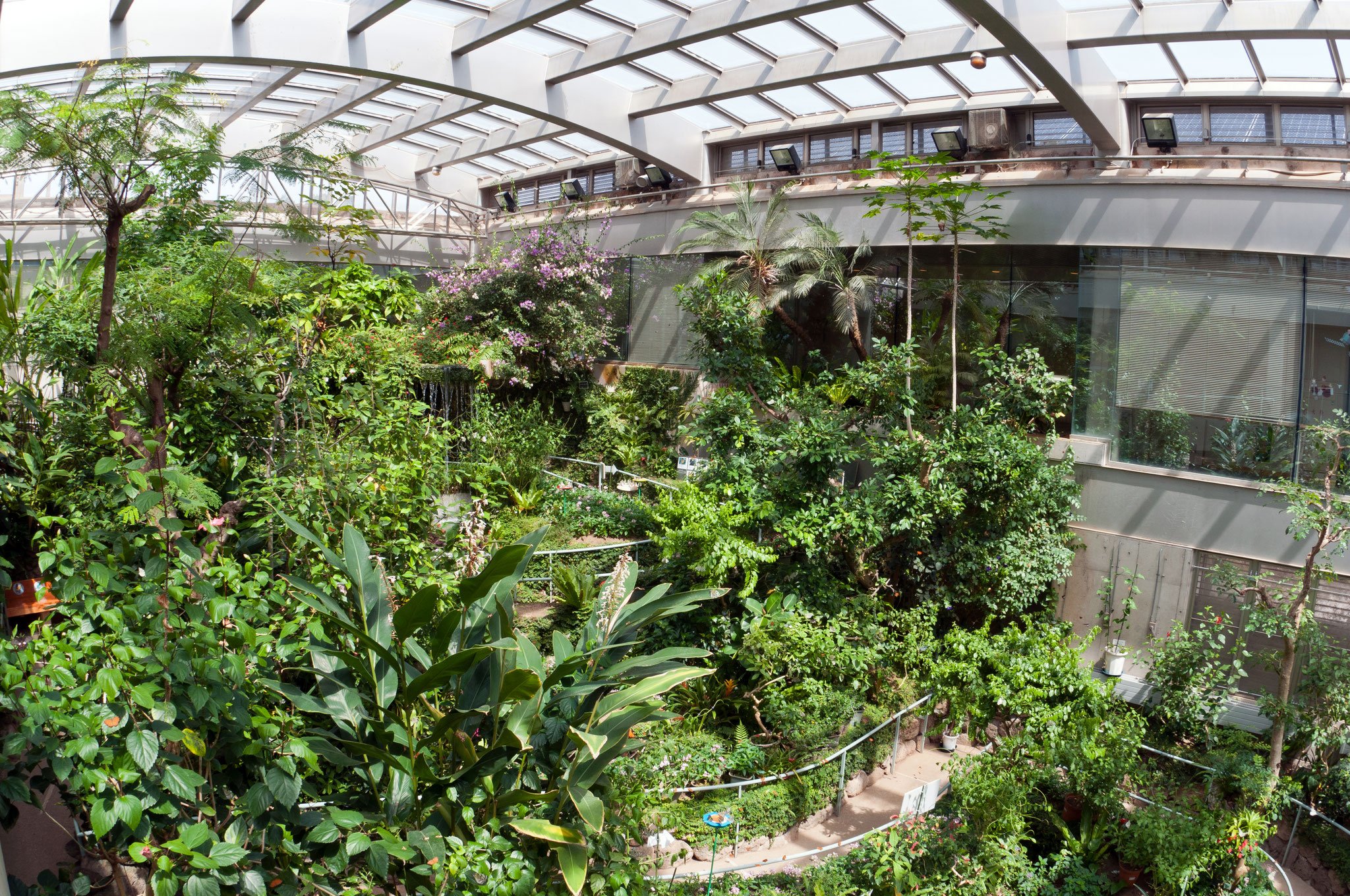 🦋 이시카와현 만남의 곤충관(이시카와켄 후레아이 콘추칸) 이미지 1